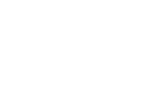 Avio Presentation Systems